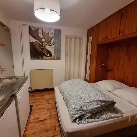 Appartement Grande Casse à Pralognan-la-Vanoise Extérieur photo
